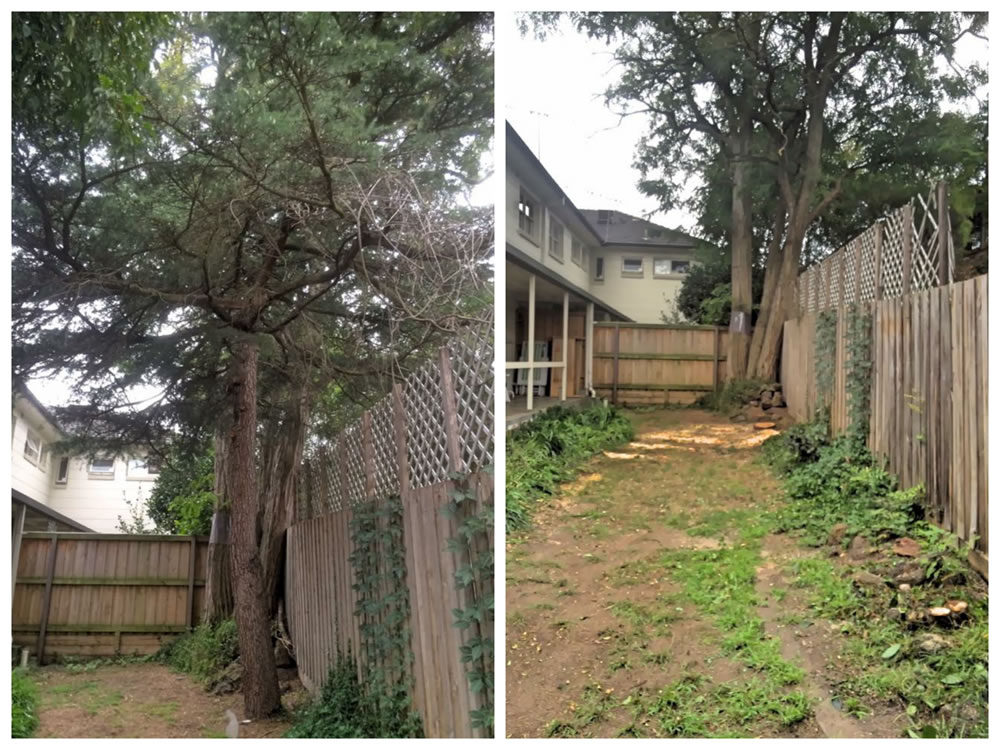 Tree Removals Melbourne Royal Tree Services